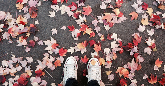 Visit Vilnius in November to see the fallen leaves