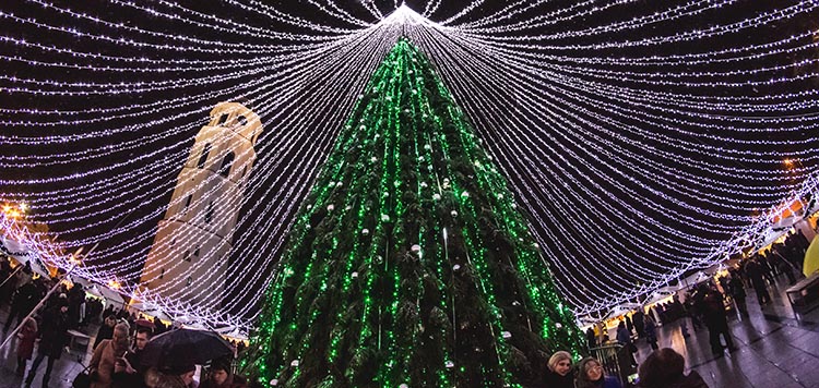Vilnius Christmas trees 2016, visit Vilnius in December